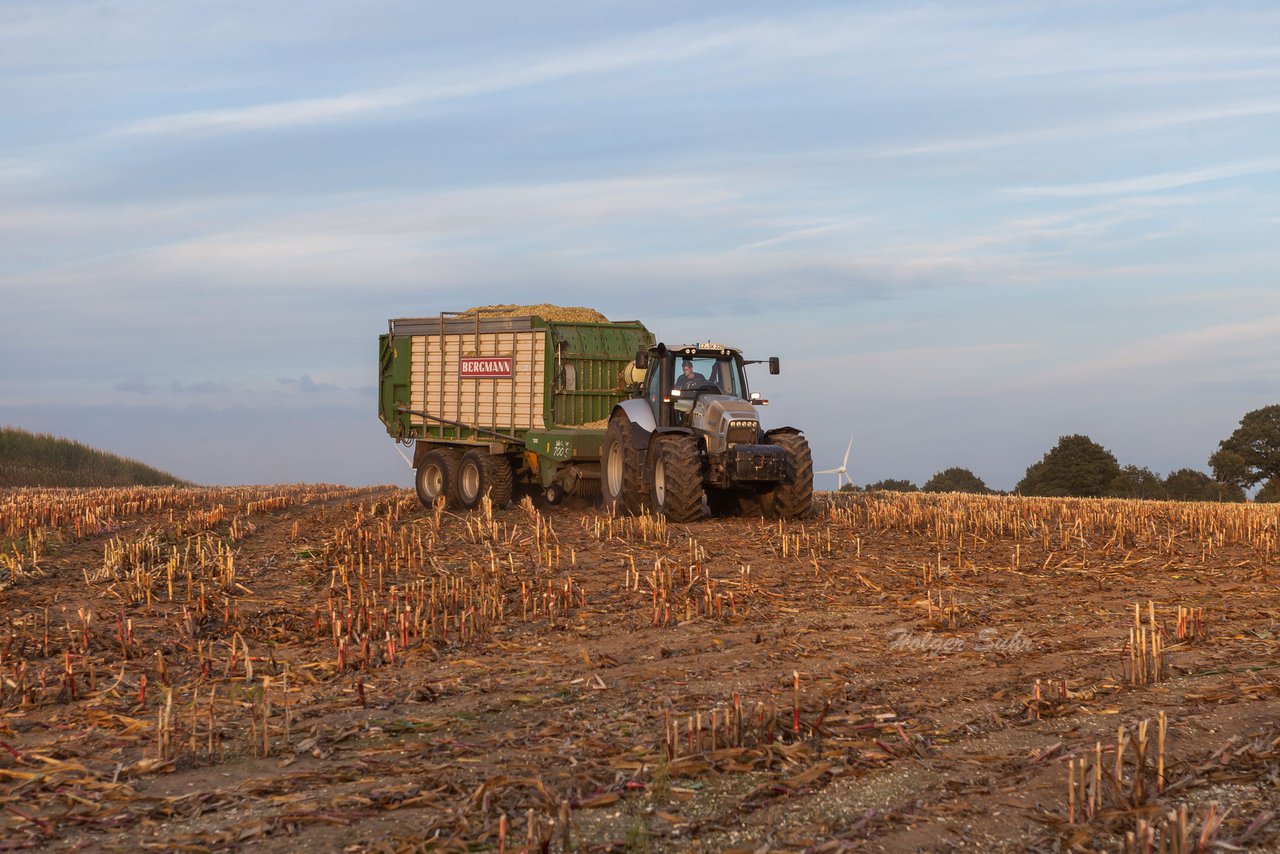 Bild 142 - Maisernte 2016